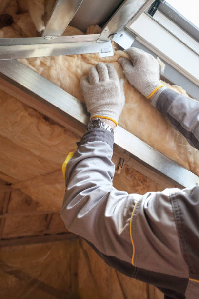 Best Professional Insulation Contractor  in Sapulpa, OK