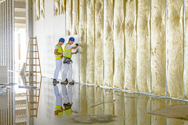 Best Energy-efficient Insulation  in Sapulpa, OK